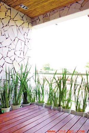 阳台造景
